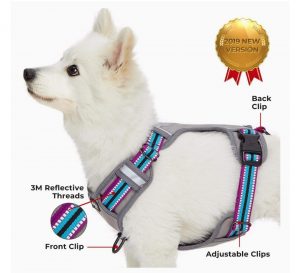 The 10 Best Harness for your lovely beautiful Dogs 2