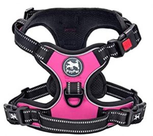 The 10 Best Harness for your lovely beautiful Dogs 5