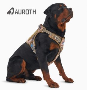The 10 Best Harness for your lovely beautiful Dogs 8