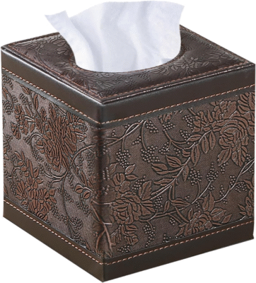 The 7 Best Tissue Box Holders 6