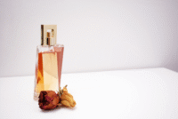 Best Fragrances for Women