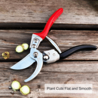 Best Pruning Shears