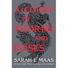 The 10 Best-Selling Amazon KDP Books in (2025) 4