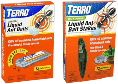 The 5 Best Ants Killers in (2025) 1