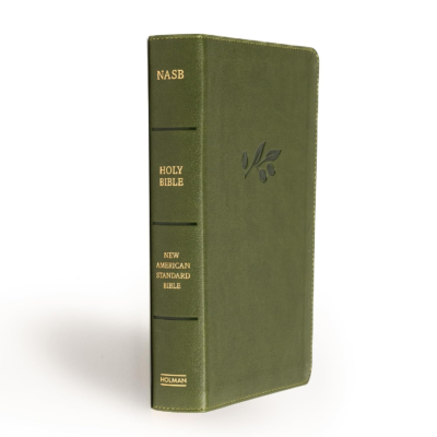 The 10 Best-Selling Bible Versions in (2026) 9