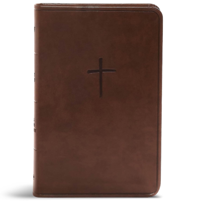The 10 Best-Selling Bible Versions in (2026) 7