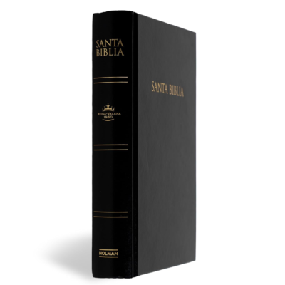 The 10 Best-Selling Bible Versions in (2026) 8