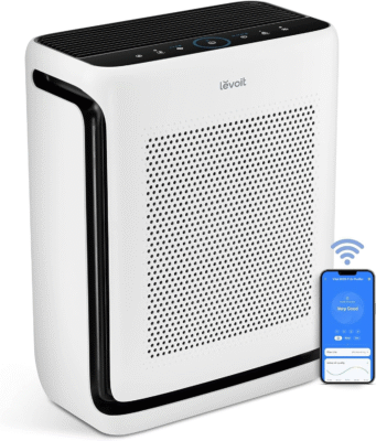 The 10 Best Air Purifiers 8