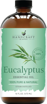 The 12 Best Eucalyptus Essential Oils 1