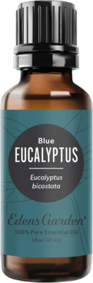 The 12 Best Eucalyptus Essential Oils 12