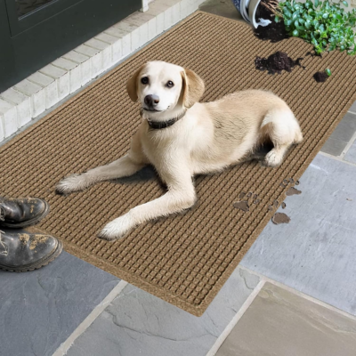 The 7 Best Front Door Mats 1