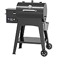 The 5 Best Pellet Grills for Exceptional Cooking Experiences 4