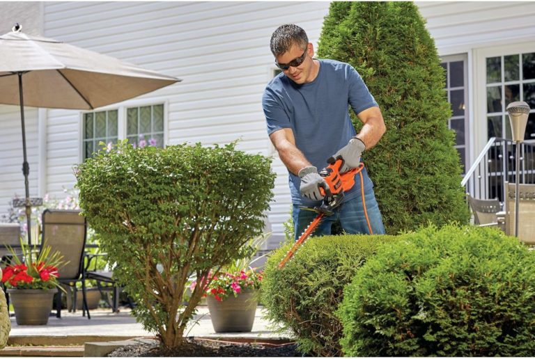 Best Hedge Trimmers