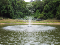 Best Pond Fountains: