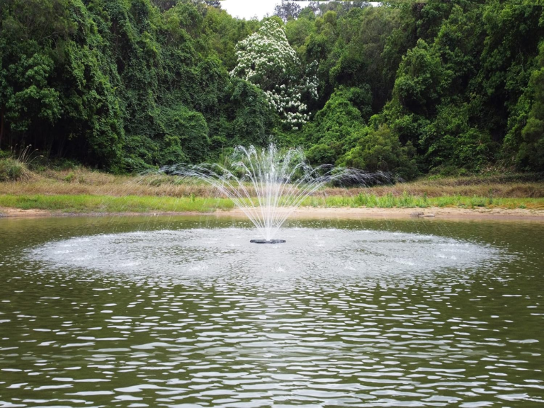 Best Pond Fountains: