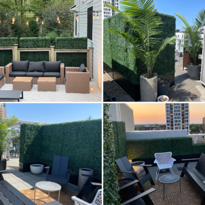 The 5 Best Green Grass Walls 3