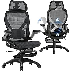 The 5 Best Office Chairs 2