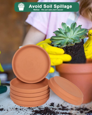 The 5 Best Plant Saucers 4