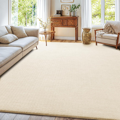 The 6 Best Area Rugs 2
