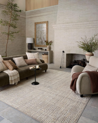 The 6 Best Area Rugs 3