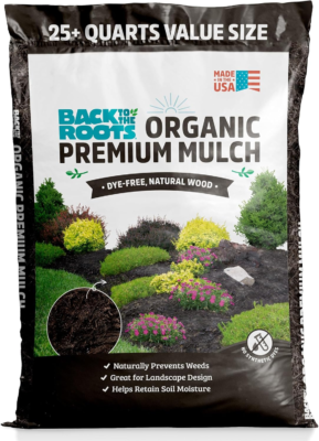 The 5 Best Mulch Options for Your Garden 1