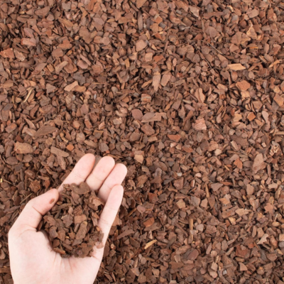 The 5 Best Mulch Options for Your Garden 4