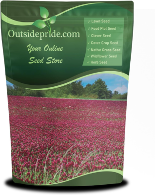 The 5 Best Clover Seeds 4