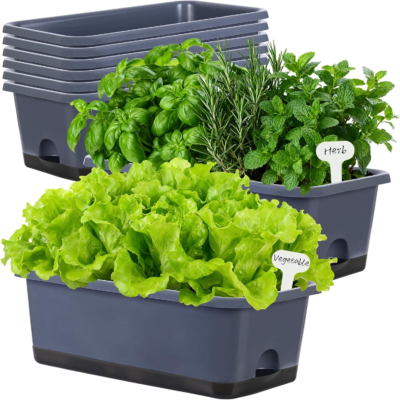 The 5 Best Window Boxes for Stunning Outdoor Décor 1