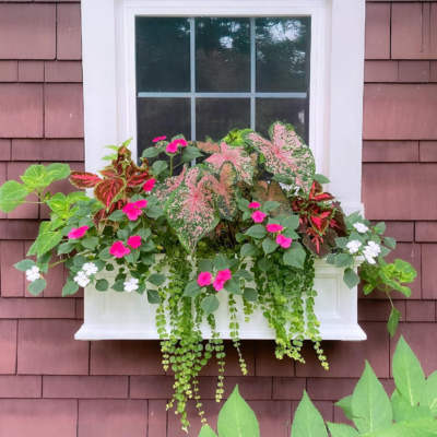 The 5 Best Window Boxes for Stunning Outdoor Décor 2