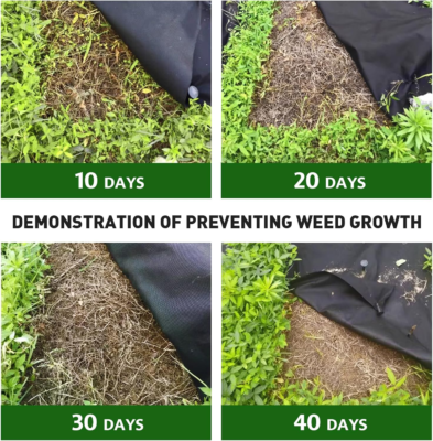 The 5 Best Weed Barrier Fabrics 5