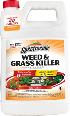 The 5 Best Weed Killers 3