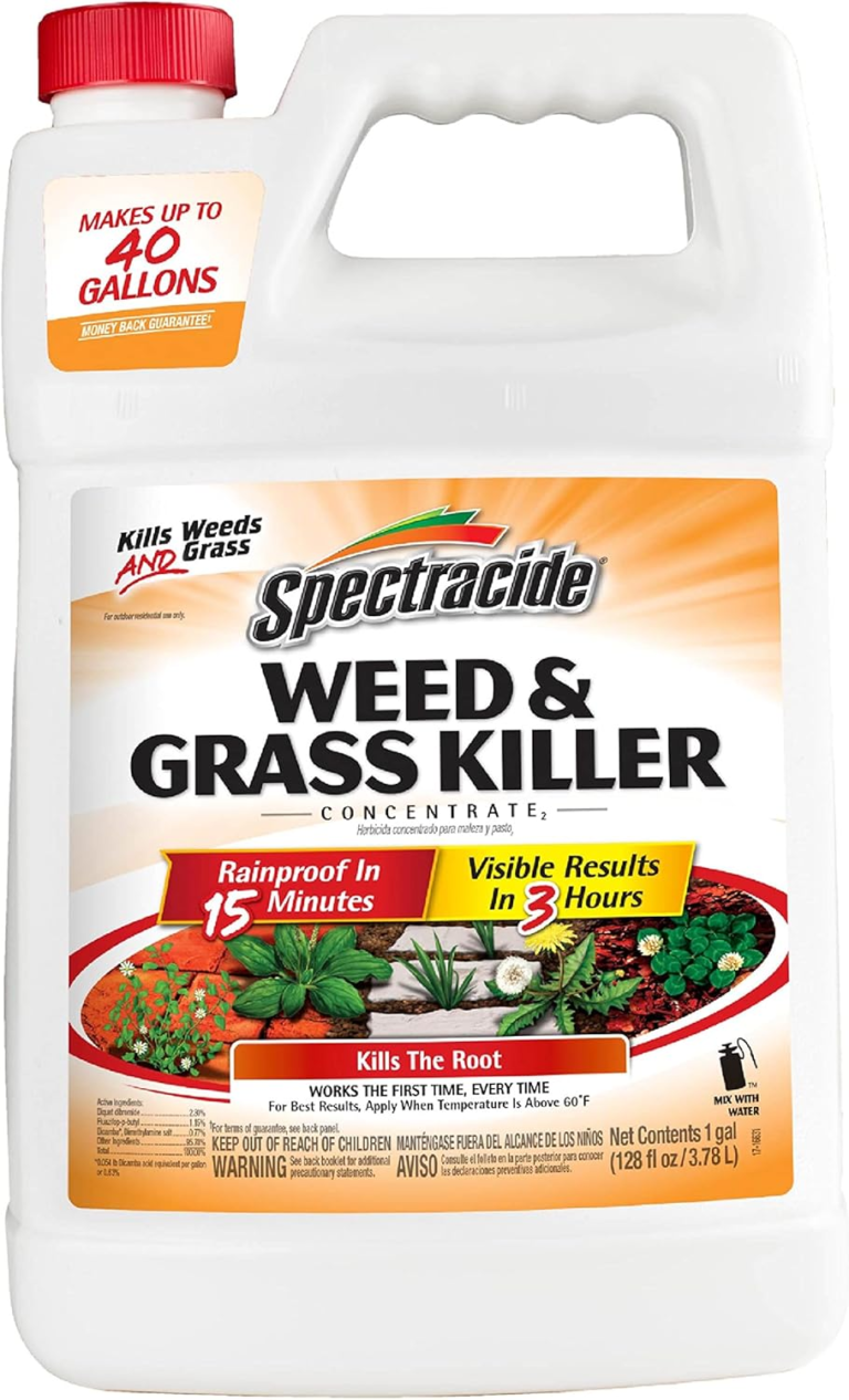 Best Weed Killers