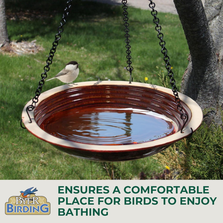 Best Bird Baths