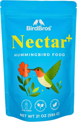 The 5 Best Hummingbird Foods 3
