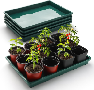 The 5 Best Seed Starter Trays 3