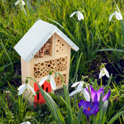 The 5 Best Backyard Insect Hotels 1