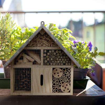 The 5 Best Backyard Insect Hotels 2