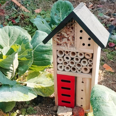 The 5 Best Backyard Insect Hotels 3