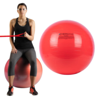 Best Yoga Balls
