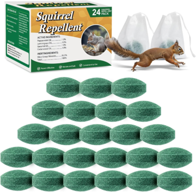 The 5 Best Squirrel Repellents: Effective Solutions to Keep Squirrels Away 1