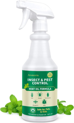 The 5 Best Spider Repellents 3