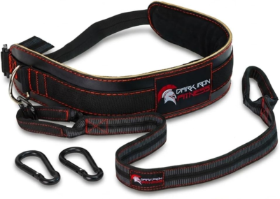 The 6 Best Dip Belts 1