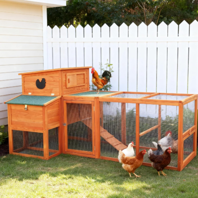 The 5 Best Chicken Coops 3