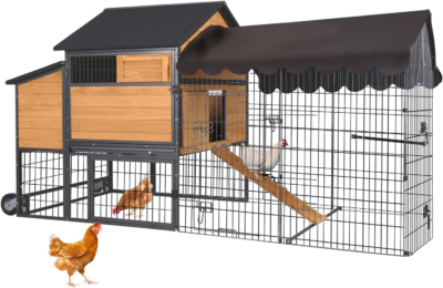The 5 Best Chicken Coops 5