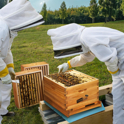 The 5 Best Beekeeping Hive Kits 3