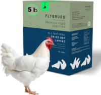 Best Poultry Feeds