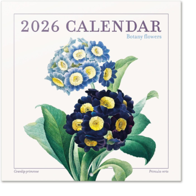 The 5 Best Wall Calendars for 2026 5