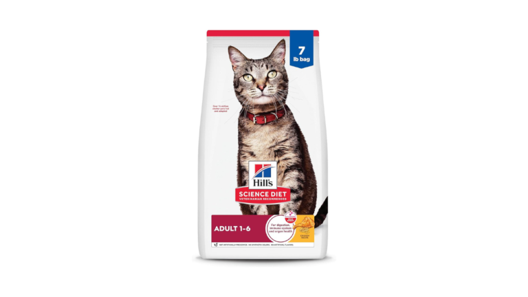 Best Dry Cat Foods