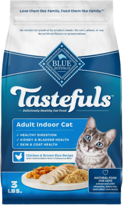 The 8 Best Dry Cat Foods (2026) 2