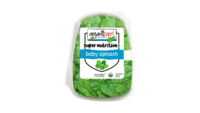 Baby Spinach